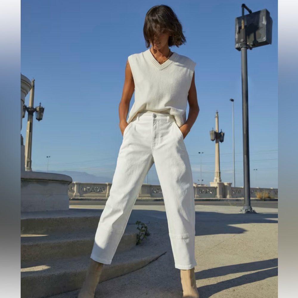 Everlane utility barrel pant